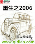 重生之2006 cover 封面