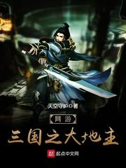 網游三國之大地主 cover 封面