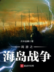 網游之海島戰爭 cover 封面