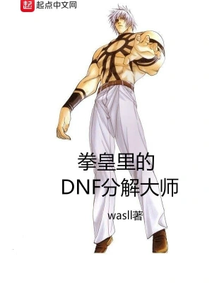 拳皇里的DNF分解大師 cover 封面