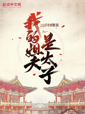 我的姐夫是太子 cover 封面